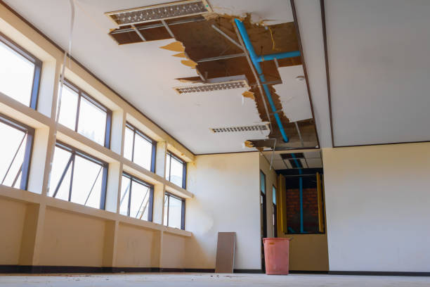 Best Local water damage restoration  in Cordova, AL