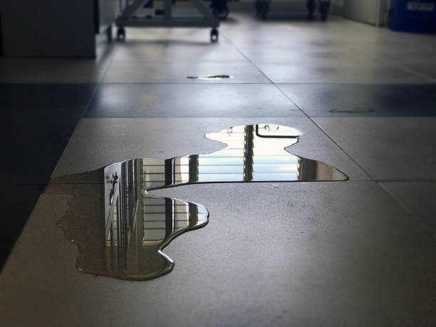 Best 24-hour water damage restoration  in Cordova, AL