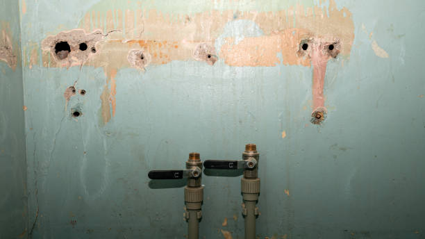 Best Water damage restoration insurance claims  in Cordova, AL