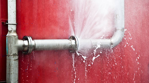 Best Professional water damage repair  in Cordova, AL